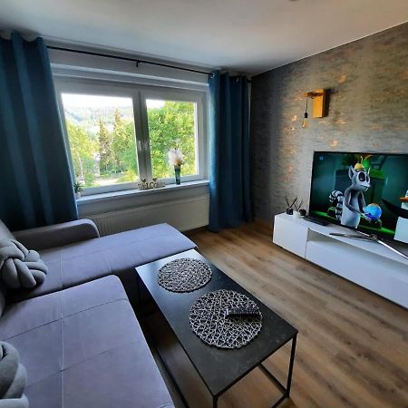 Orlicka Apartament Duszniki Zdrój 外观 照片
