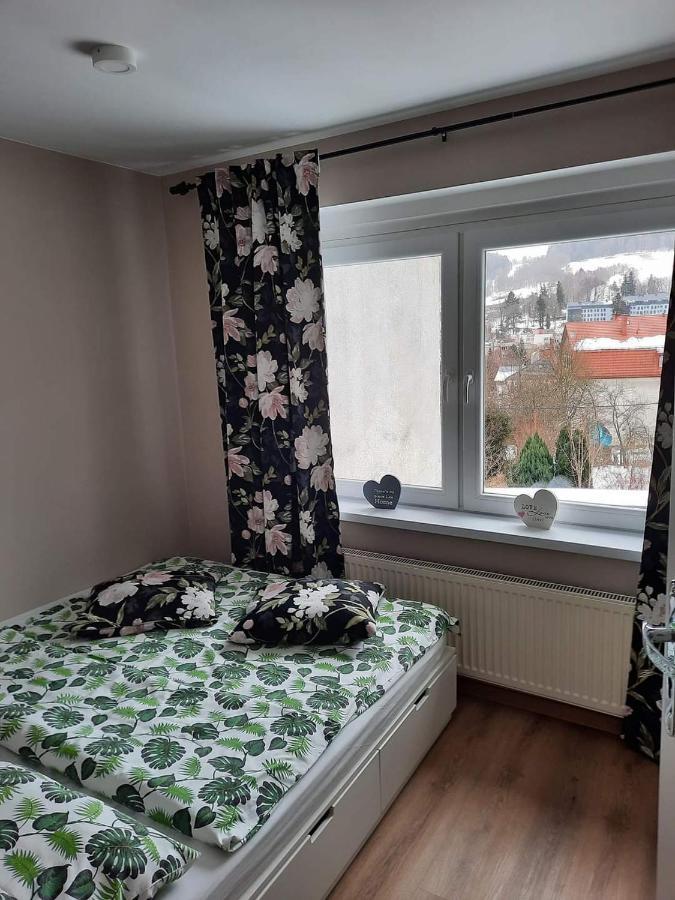 Orlicka Apartament Duszniki Zdrój 外观 照片