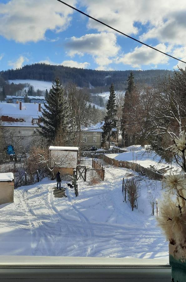 Orlicka Apartament Duszniki Zdrój 外观 照片