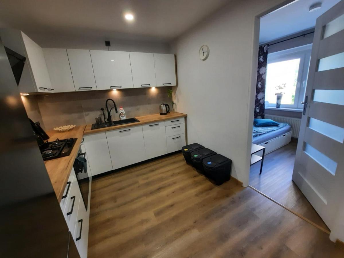 Orlicka Apartament Duszniki Zdrój 外观 照片