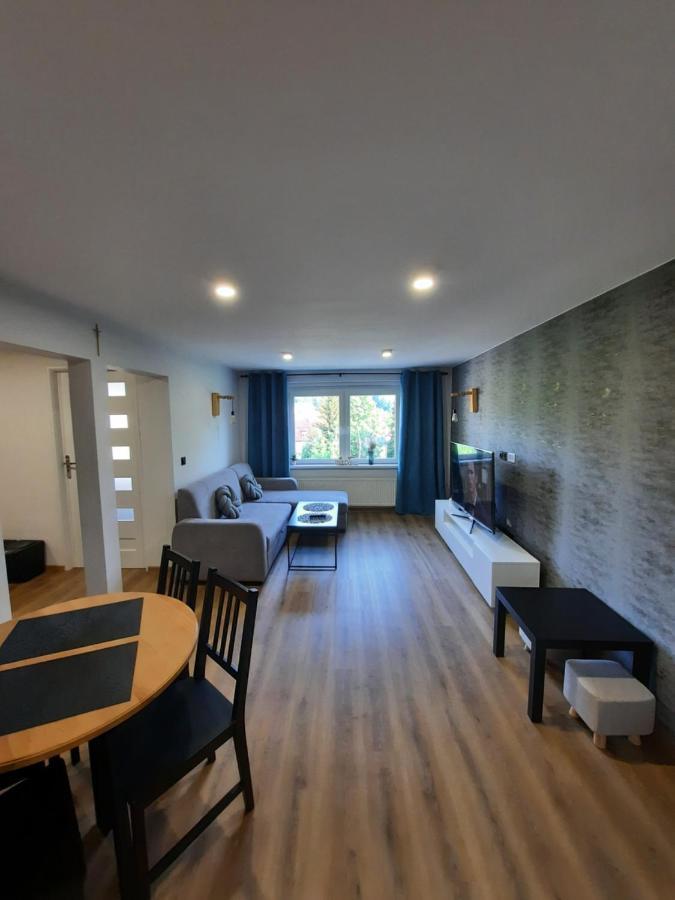 Orlicka Apartament Duszniki Zdrój 外观 照片